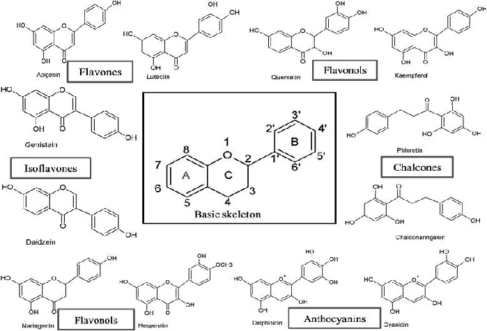 Mengenal Flavonoid: Rahasia di Balik Pembuluh Darah Bersih & Bebas Plak